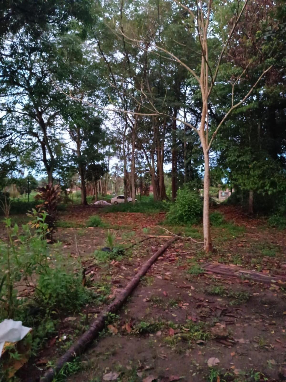 Casa Na Floresta Cosmica Ananindeua Luaran gambar